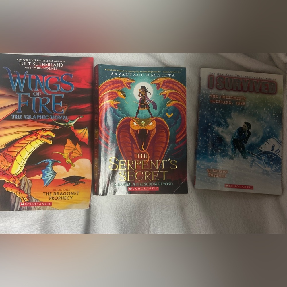Scholastic Chapter book bundle - Picture 2 of 8